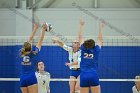 VB vs USCGA  Wheaton College Women's Volleyball vs U.S. Coast Guard Academy. - Photo by Keith Nordstrom : Wheaton, Volleyball